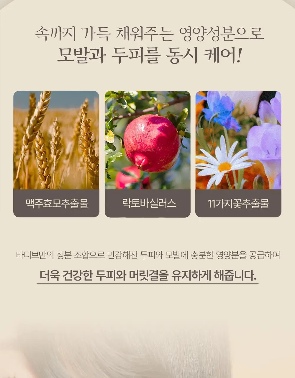 [대용량] 바디브 약산성 미용실 퍼퓸 샴푸 [비듬 가려움 개선] 5종 택 1 상세페이지 14